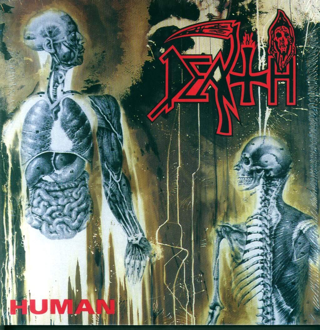 Human