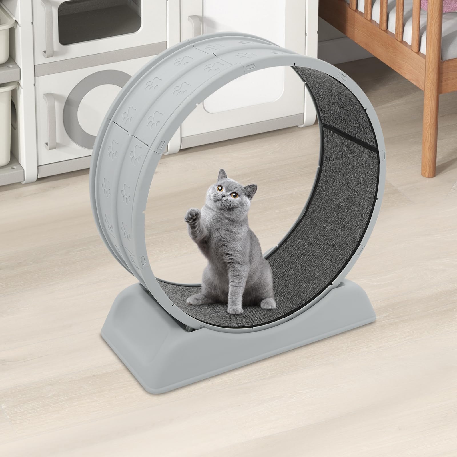 Ruota per gatti, 80 cm, portata 10 kg, base antiscivolo, 79 x 34 x 84 cm, chiave di sicurezza con tappeto rimovibile, ruote silenziose, ideale per soggiorno, balcone