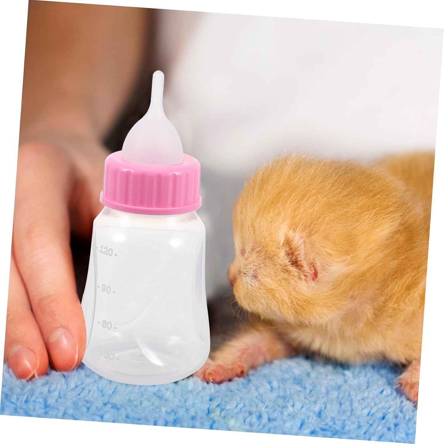 2Pcs Kitten Feeder Bottles Leak Containers for Nursing Kittens Lightweight and Portable Safe Material with Scale Design for Easy Feeding