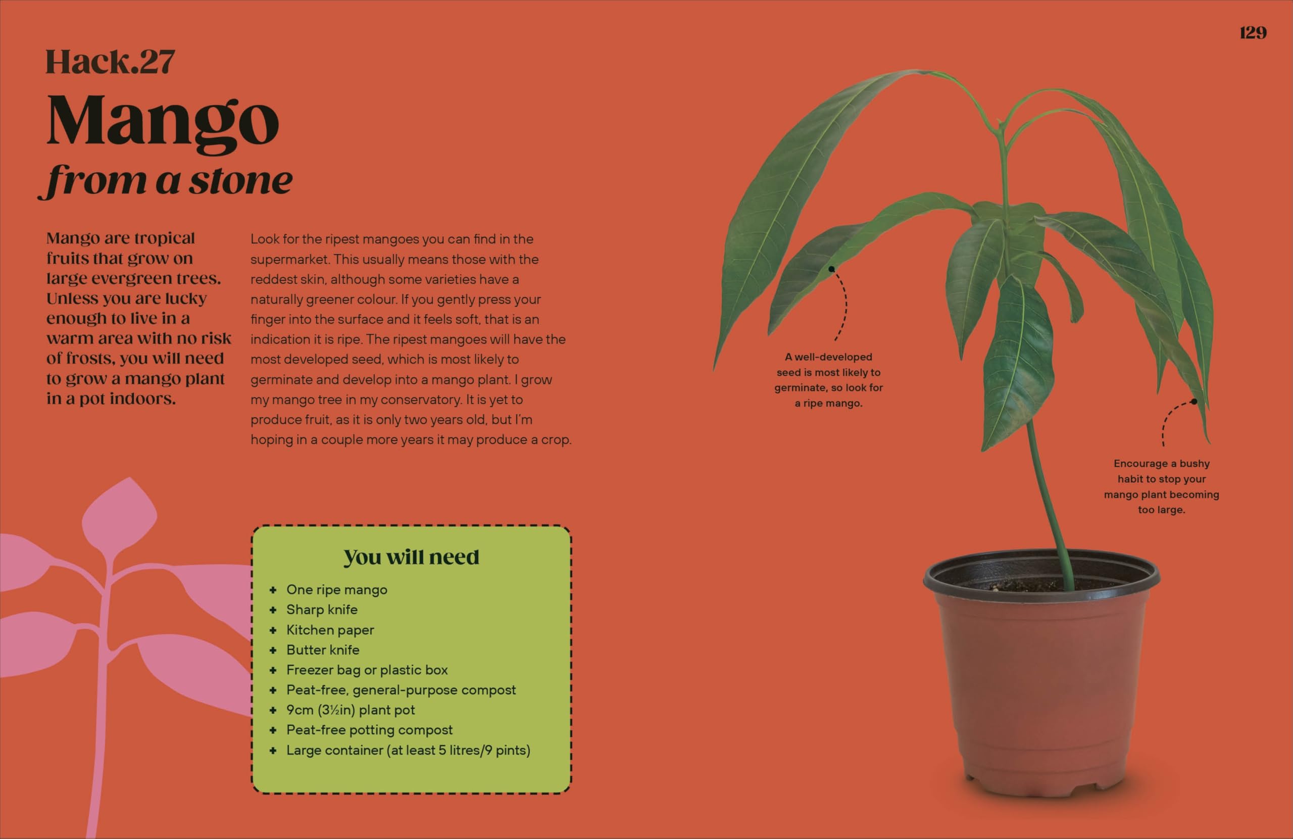 Grow Your Groceries: 40 Hacks for Growing Plants from Your Weekly Shop: A SUNDAY TIMES BESTSELLER