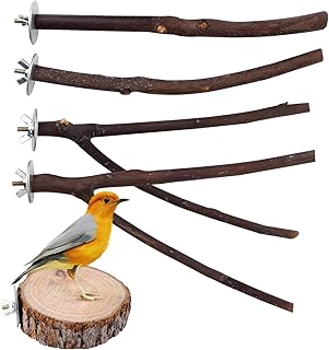 5 PCS Natural Wood Bird Perch Stand-Wooden Parrot Perch Stand-Perch Platform Cage Accessories for Small Parakeets,Budgies,Cockatiels,Conures,Macaws,Finches