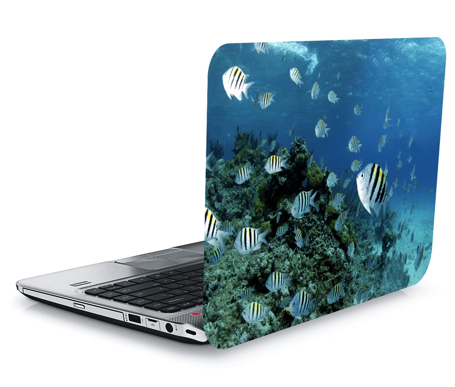QTH Dynamic Design Laptop Sticker 15.5 Inch QTH-L18-1817 (B09LLP7R4M) Amazon Price History, Amazon Price Tracker