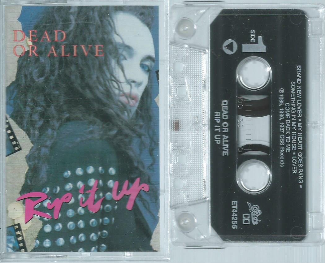 Dead Or Alive Rip It Up Music