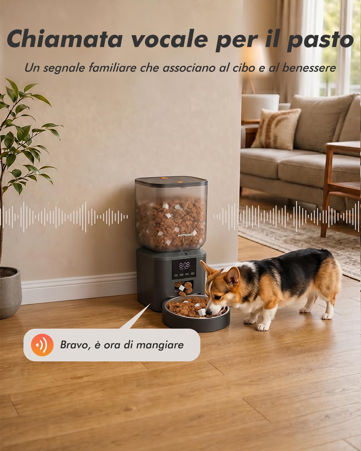 Nityers Distributore Automatico Cibo Gatti e Cani — immagine 12 di 16