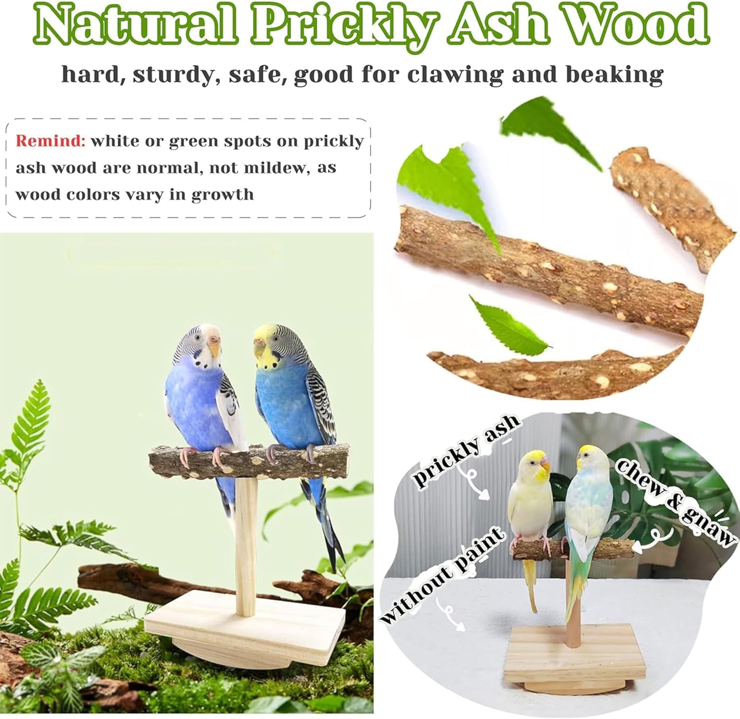 Natural Wood Bird Perch Stand Training, Intelligence Puzzle Enrichment Toys for Parakeets Wooden Parrot Perch Platform - Image 3