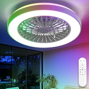 Depuley RGB Ceiling Fan with Light: 19" Enclosed Low Profile Flush Mount