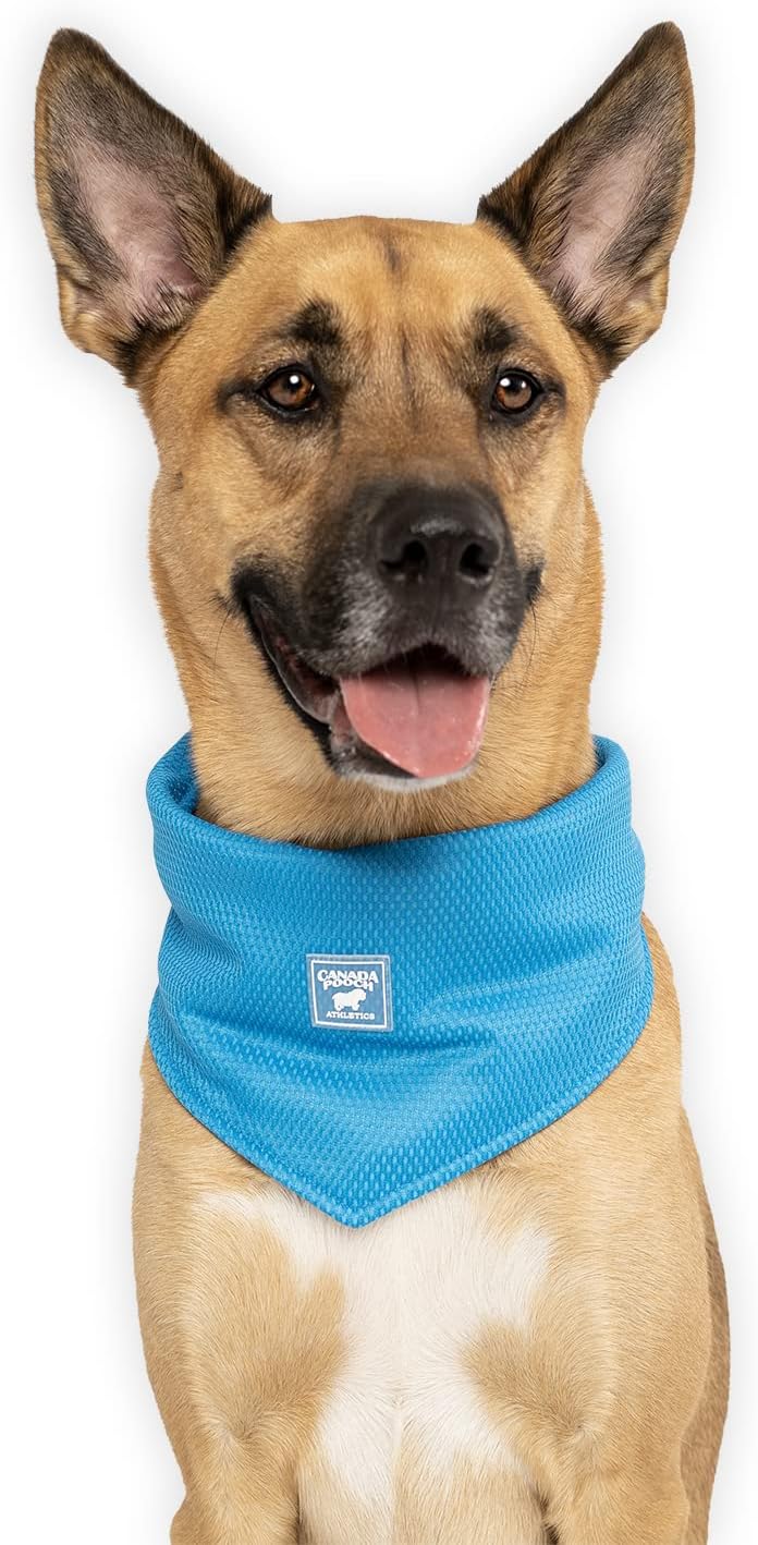 Canada Pooch Cooling Bandana for Dogs Evaporative Cooling Dog Bandana