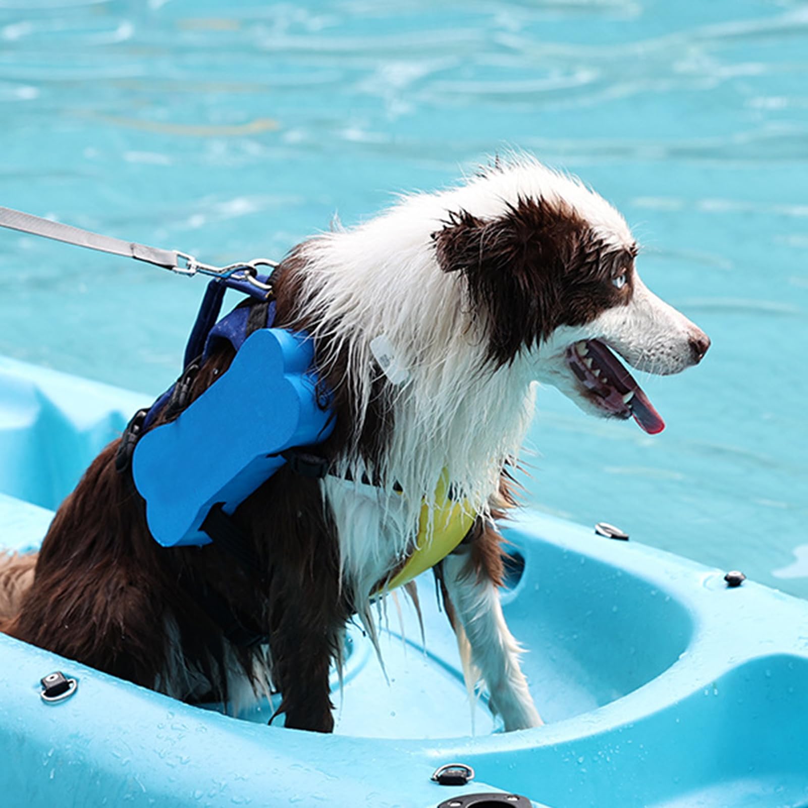Gilet De Sauvetage pour Chien Veste Flottante Natation | Flotteur Réfléchissant Avec Poignée De Sauvetage Ajustable Pour Sécurité Aquatique Piscine Lac Bateau