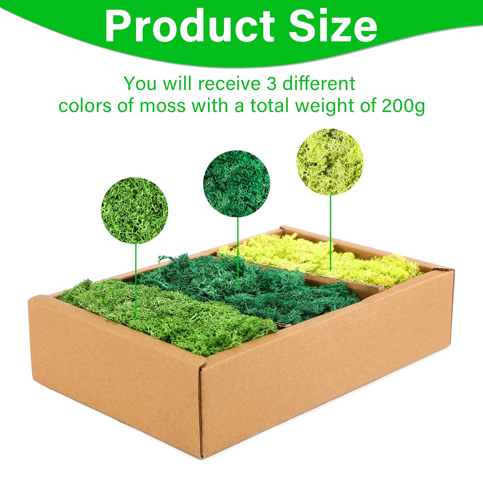 Muschio Finto Per Decorazioni - Verde Scuro, 100g, Per Presepi, Pareti E Modellismo - Foto 3