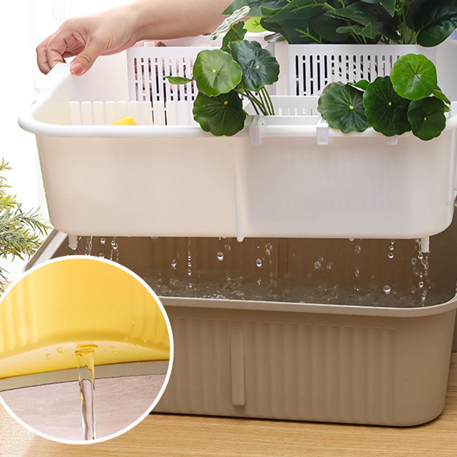 perfk Vasca per tartarughe, vasca per il bagno delle tartarughe, accessori, contenitore per cibo, contenitore per rettili, per l'allevamento di, Bianco