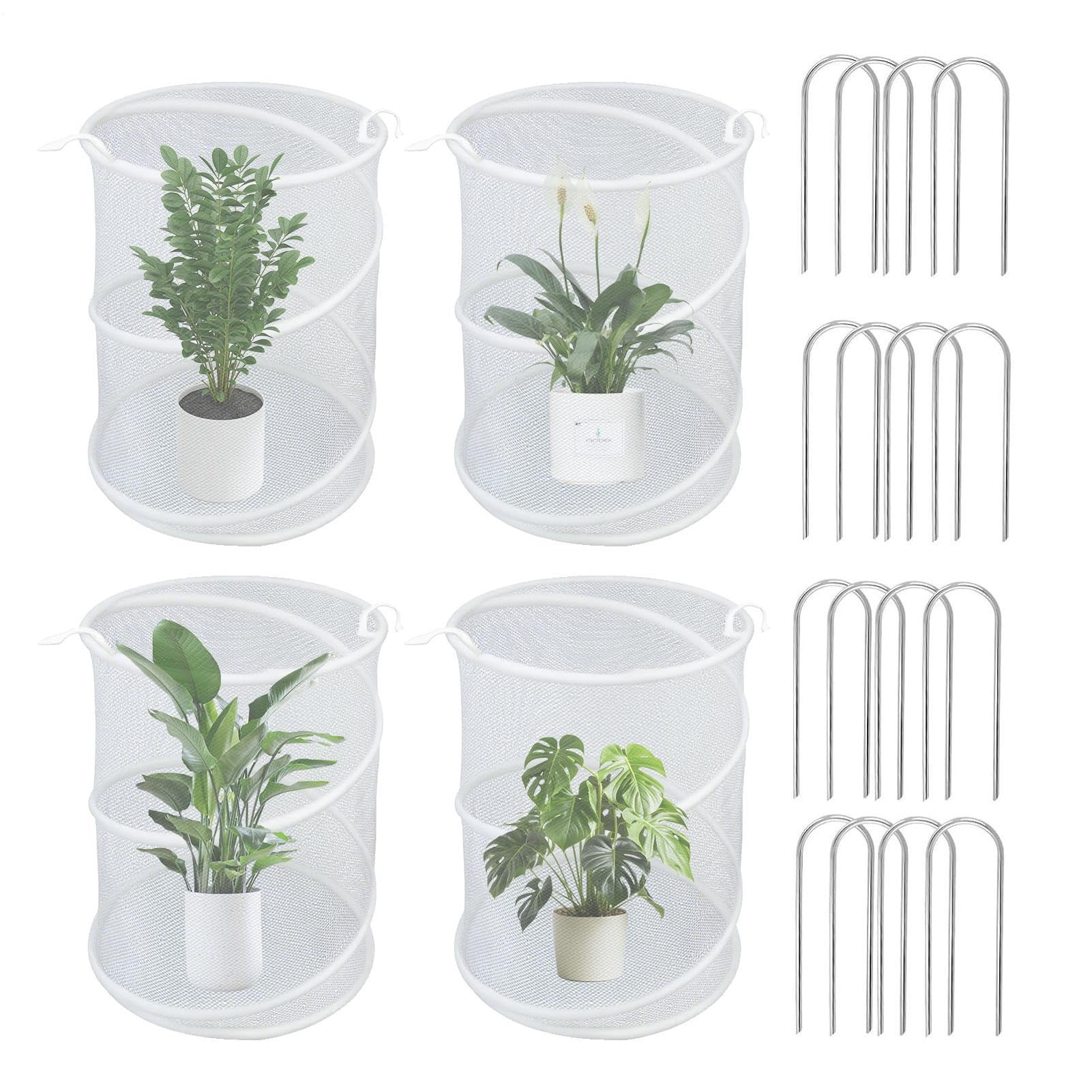 Protection Maillée Végétale | Enclos Maille Végétal Pop-Up - 4 Protections Pliables Anti-Insectes Et Oiseaux pour Myrtilles Légumes Fruits Fleurs