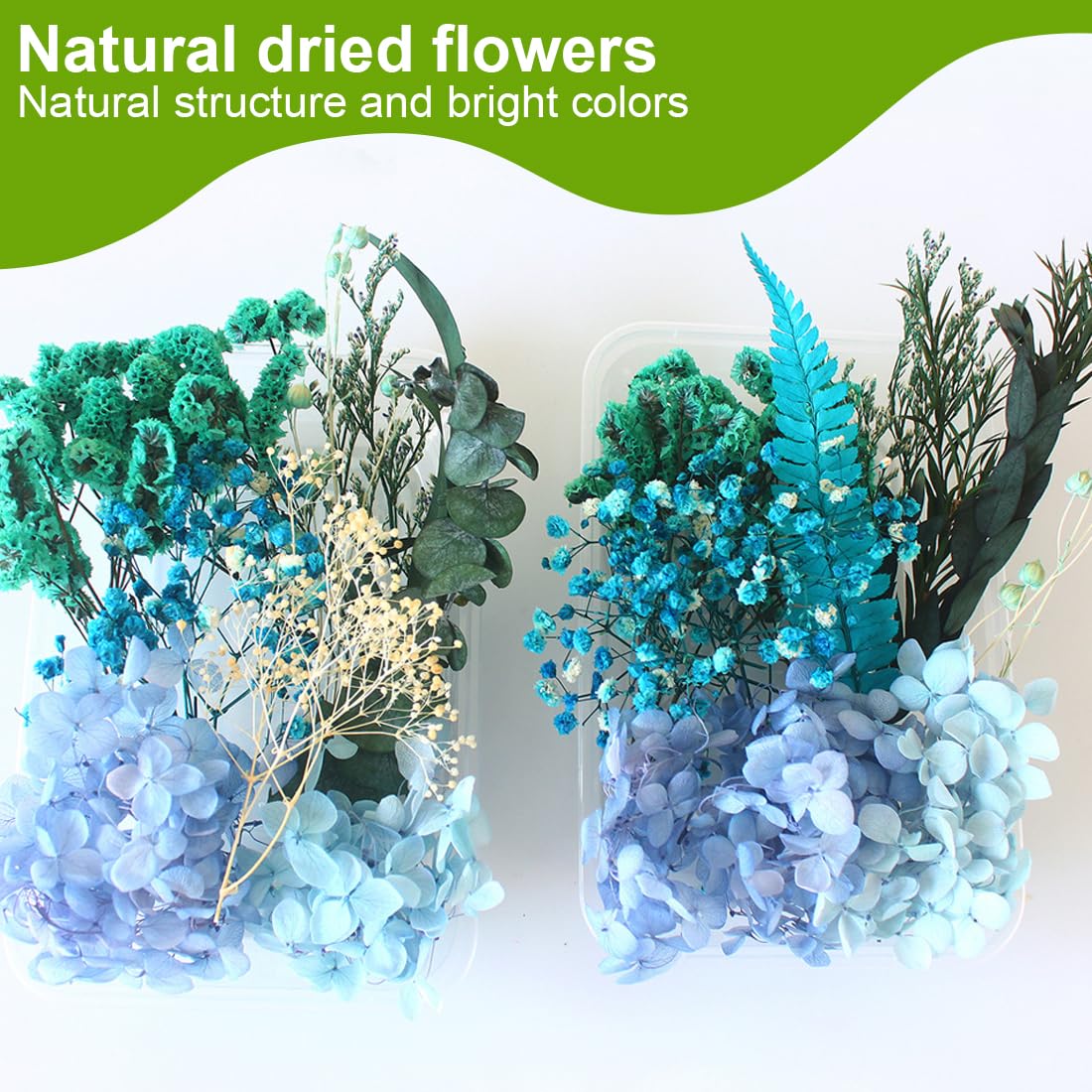 Fiori Secchi Naturali Per Fai Da Te - Scatola Decorativa Blu Per Scrapbooking E Resina Epossidica - Foto 4