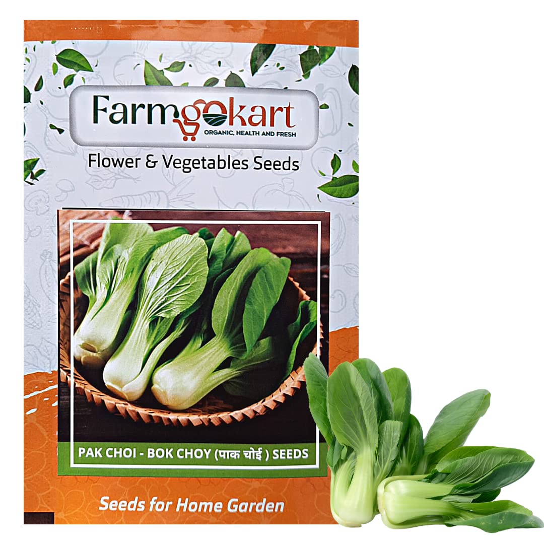 Farmgokart |Pack of 200 Nos | PAK CHOI, BOK CHOY SEED | Best Suitable For Terrace And Home Gardening |Quality Exotic vegetable Seeds| (B09QFW7QWF) Amazon Price History, Amazon Price Tracker