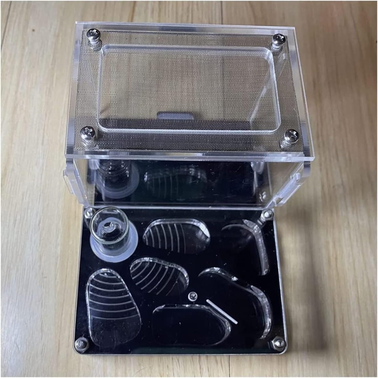 Formicarium Hormiga Granja De Hormigas Acrílicas con Torre De Agua Hidratante, Kit De Aprendizaje De Ciencias Educativas, Granja Nido De Hormigas Granja Hormigas(S)
