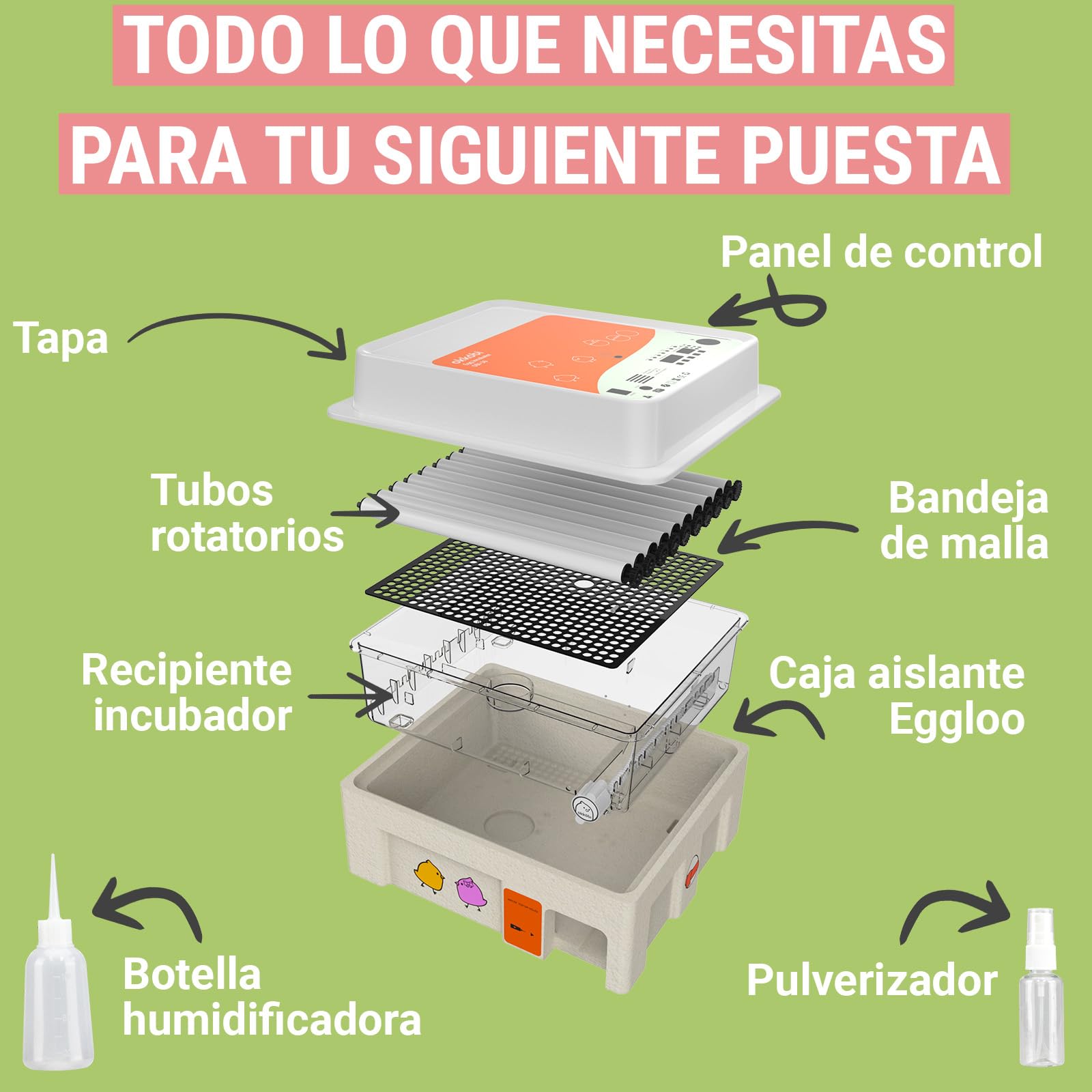 OBI-36 Incubadora Automática – Incubadora de huevos para 36 huevos con Volteo Automático - Incubadora huevos gallina, codorniz y pato - Naranja