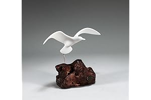 Seagull with 9-inch Wingspan, Burlwood Base