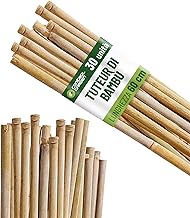 Control Garden Pack of 30 60 cm Ecological Bamboo Braces | Natural Cane Poles for Supporting Plants Diameter 6-8 mm | Rods for Trees, Vegetables, Climbing Plants and Crops