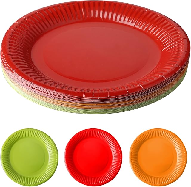 Colorful Party Paper Plates30 Pack 7Picnic Plates Chafing Dish and Make DIY Painting