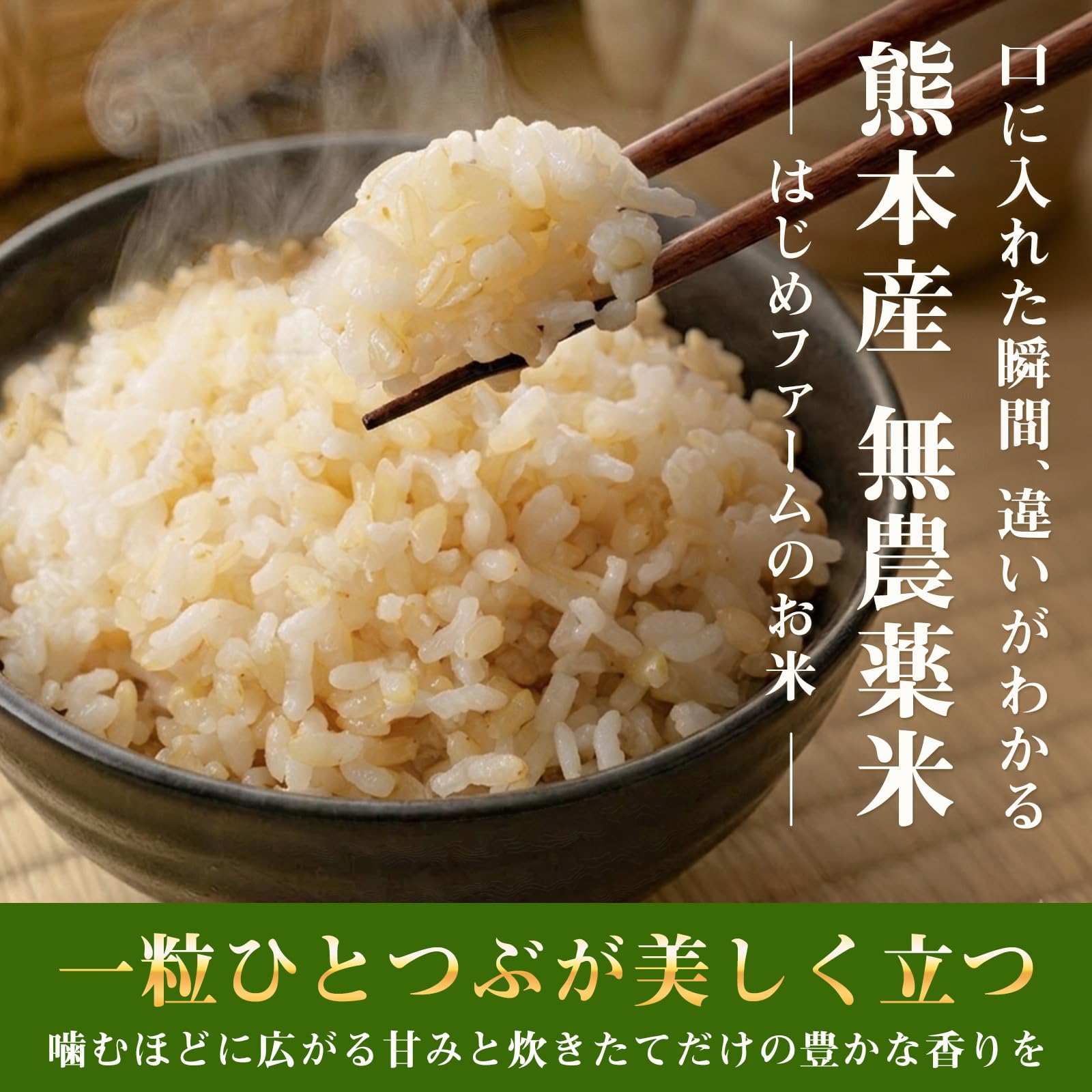 Amazon.co.jp: 【令和7年新米】無農薬 玄米 コシヒカリ 熊本県産 無