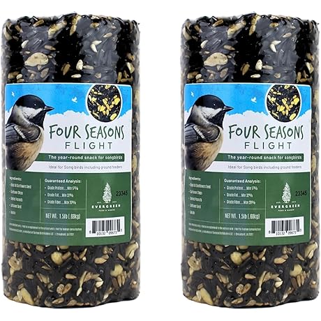 Evergreen Wild Bird Seed Cylinders