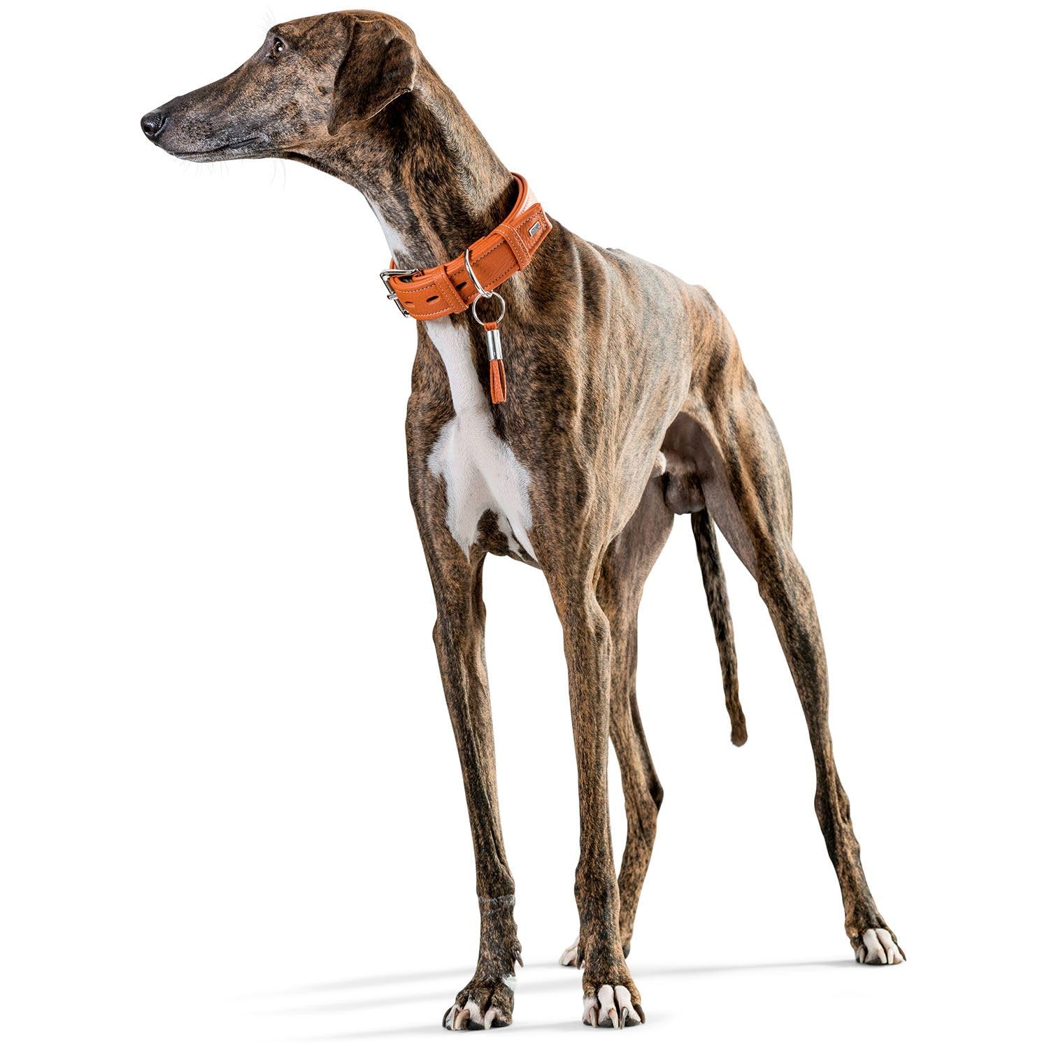 HUNTER HT63300 Cannes - Collar de Piel, Talla única