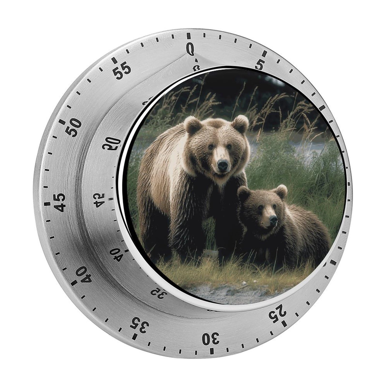 A Mother and A Cub Bears Visual Timer with Loud Alarm 60-Minute Kitchen Timers Exquisite Stainless Steel Body - Mechanical Desk Timer Countdown Clock for Cooking Chef Clock
