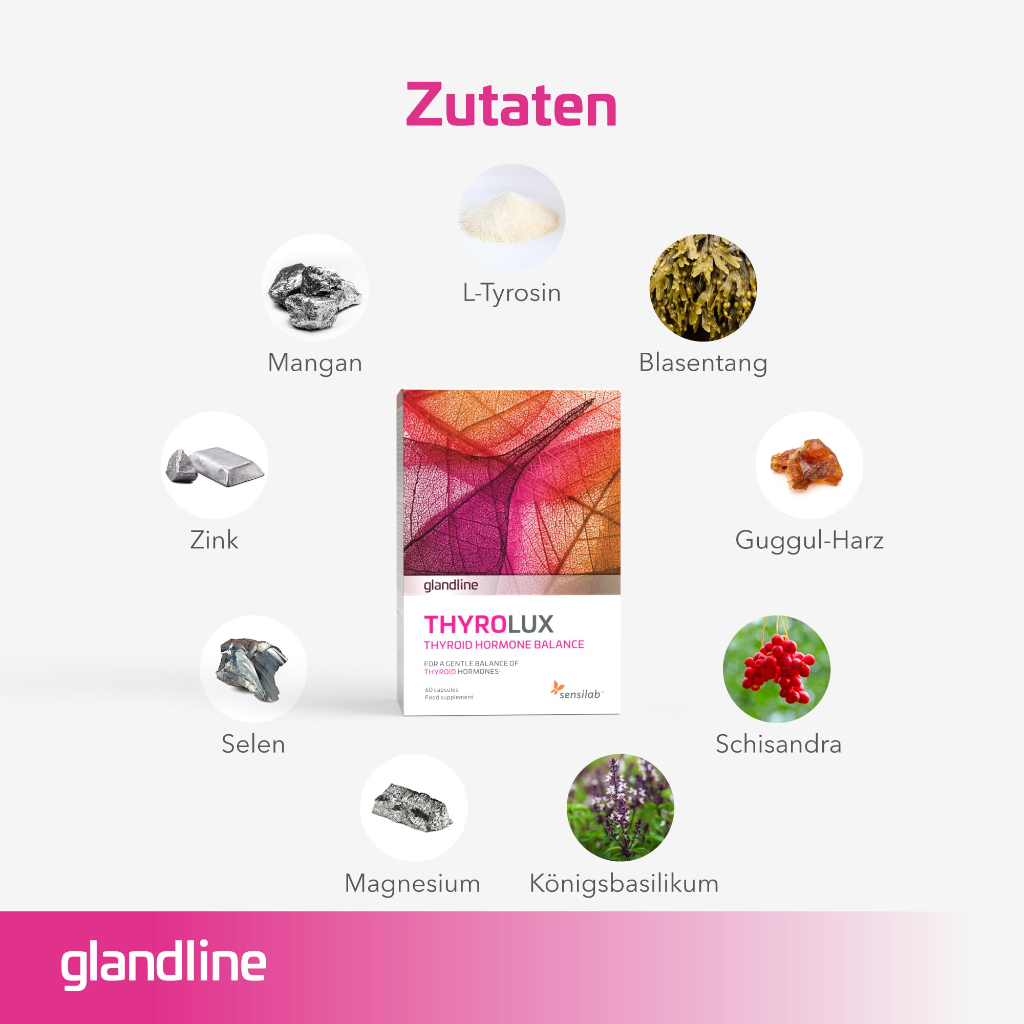 Schilddrüse – Jod Tabletten – L Tyrosin, Zink, Jod, Selen, Magnesium, Königsbasilikum, Schisandra, Mangan – 120 Optimal Dosierte Kapseln – Thyrolux von Sensilab