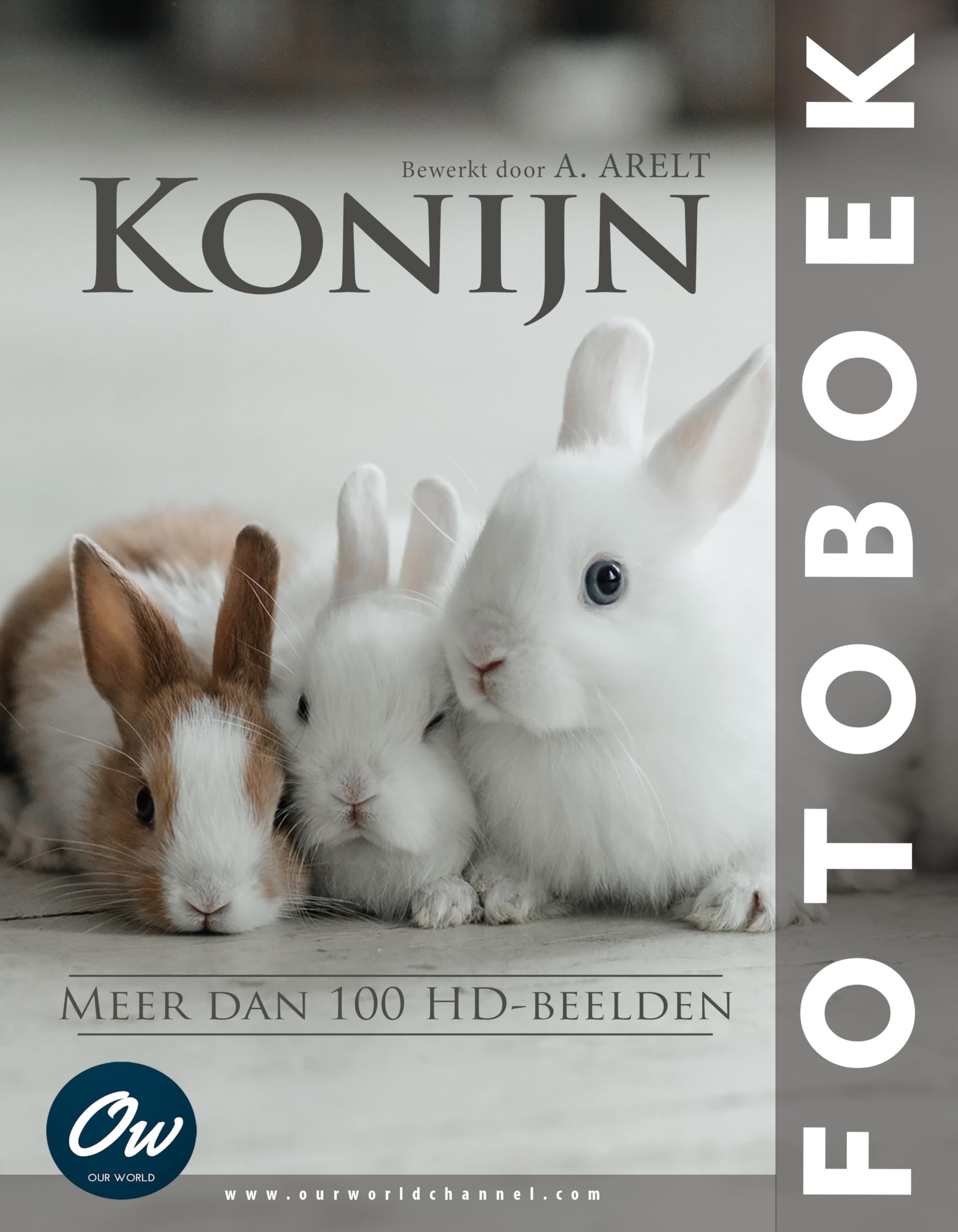Album photo Konijn un livre éducatif hollandais pour l'histoire du soir