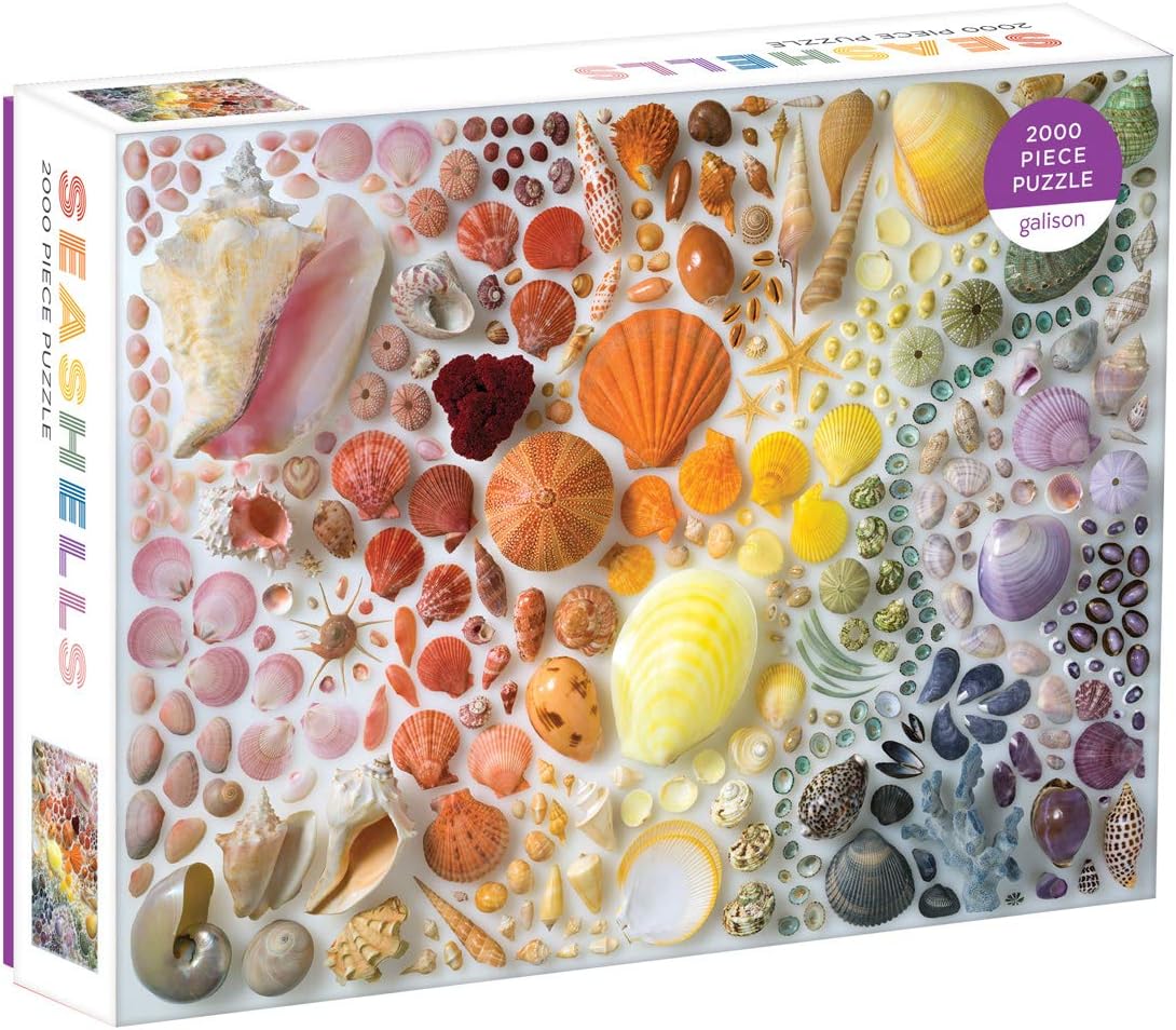 Rainbow Seashells 2000 Piece Puzzle