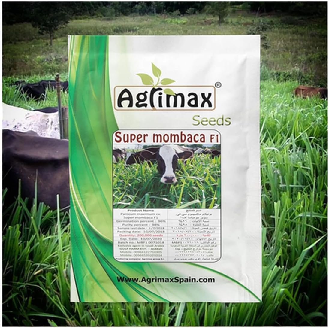 Agrimax- Agrimax Super Mombaca F1 Premium Quality Seeds Made In Spain By Agrimaxgroup