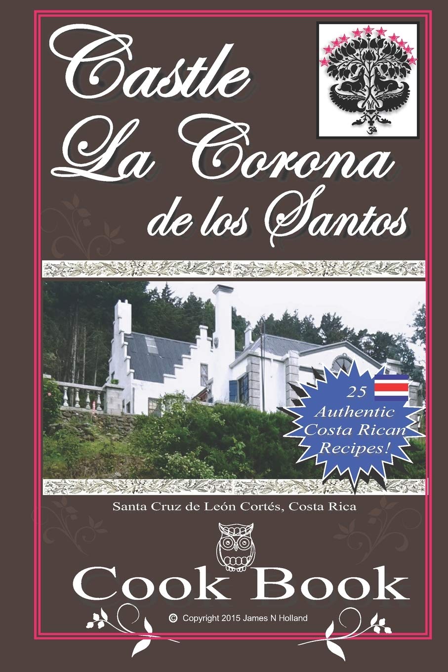 Castle La Corona de los Santos Cookbook: Authentic Costa Rican Recipes of the Mountains and More!: 1 (Castle La Corona de Los Santos Costa Rica)