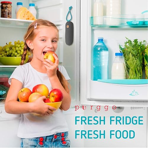 Miniatura 6 de Minipurificador eliminator de olor, ambientador natural, absorbe el olor de los zapatos, cubos de basura, perros mojados, bolsas o cajones, olor