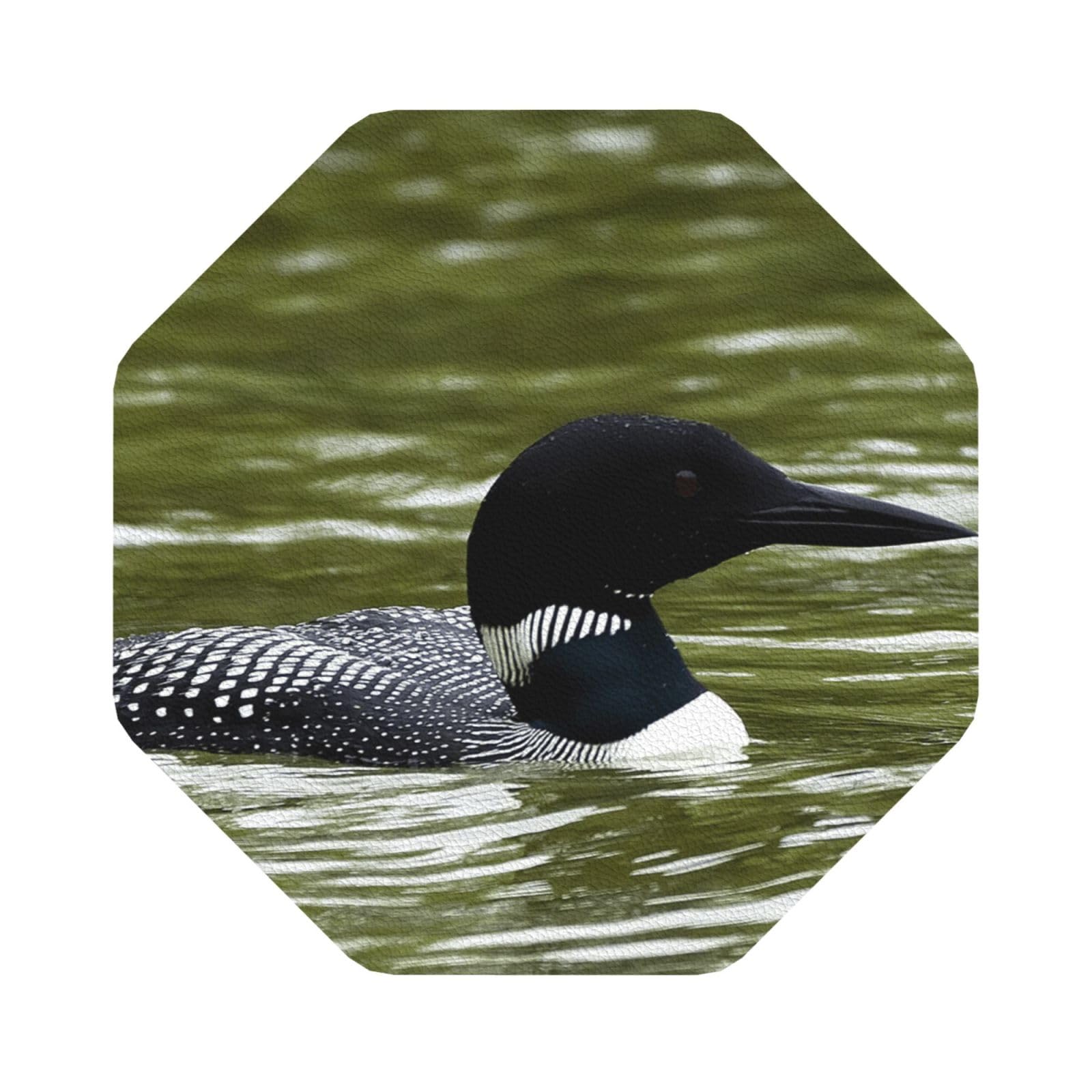 Loon Nature Birds PU Leather Coasters Set of 6 Octagon Drink Coasters