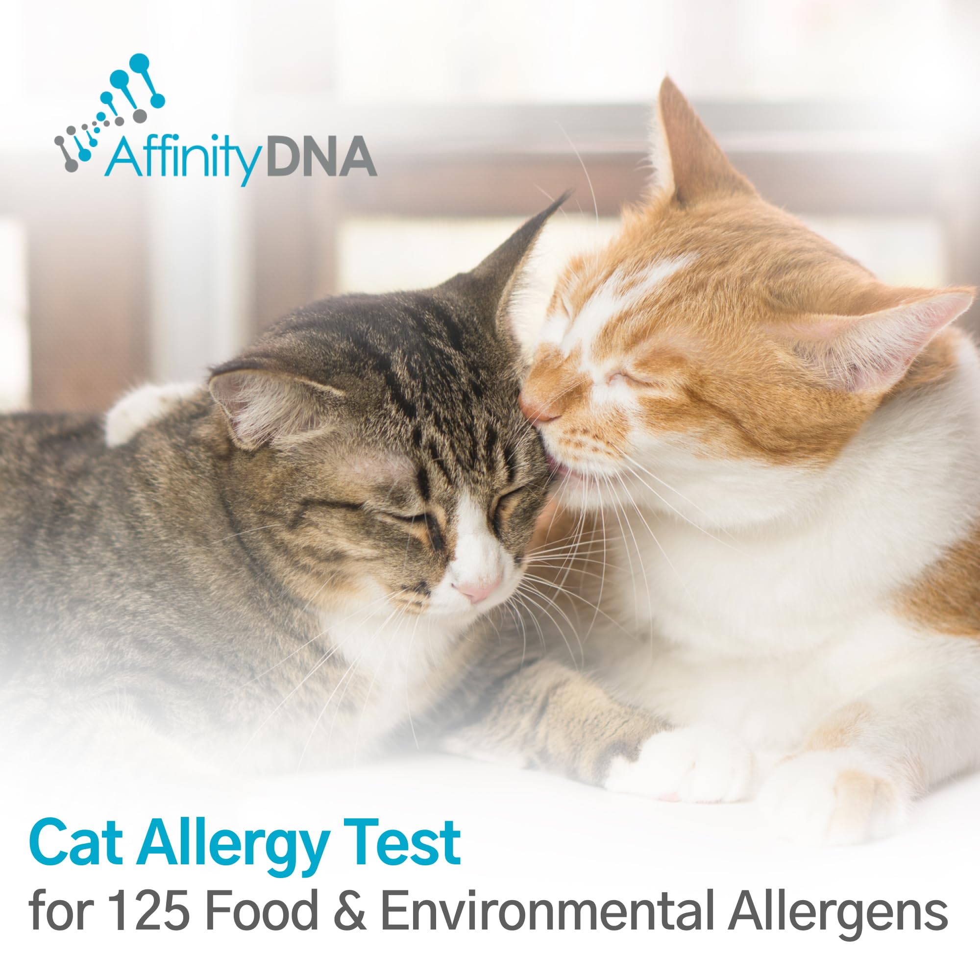AffinityDNA Cat Allergy Test for 125 Allergens, Cat Allergy Test Kit - 125 Allergens - Image 2