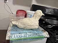 Review Image by Sophia F. Sophia F.