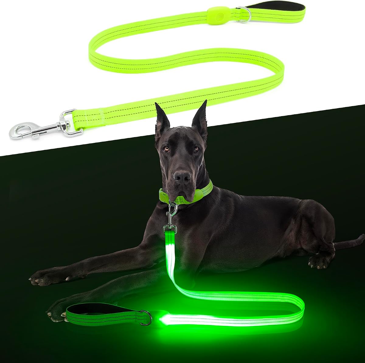 LED Dog Leash