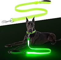 ChalkLit LED Light Up Dog Leash 4FT: Fully Illuminated USB Rechargeable Waterproof Reflective Padded Handle for Night Safety Large Medium Dogs