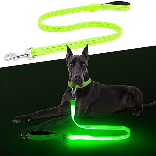 LED Dog Leash, Light Up Dog Leash 4 Ft Fully