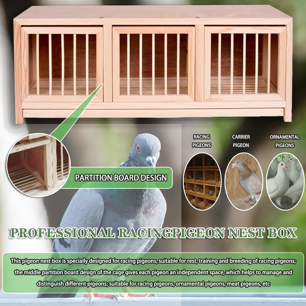 Jaula Grande apilable para Palomas con 3 Puertas - Nido para Palomas mensajeras de Exterior, Cierre de Clavo Oculto, Bandeja extraíble para excrementos, 2 Piezas de Color Natural - Ideal par