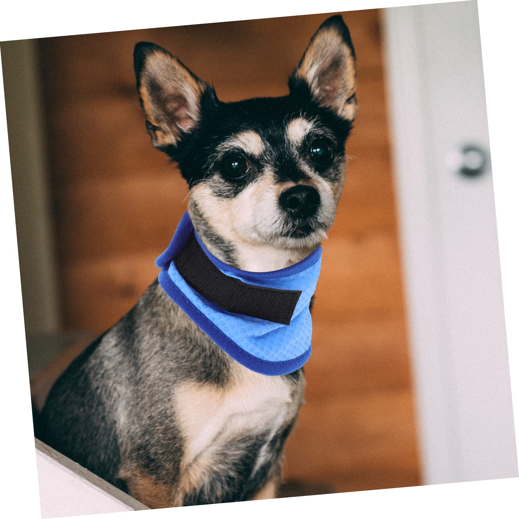 Supvox 5 Stück Haustier Kühlschal Hunde Bandana Heimtierbedarf Tragbarer Haustier Schal Hundeschirm Handtücher Großes Hundezubehör Kühlendes