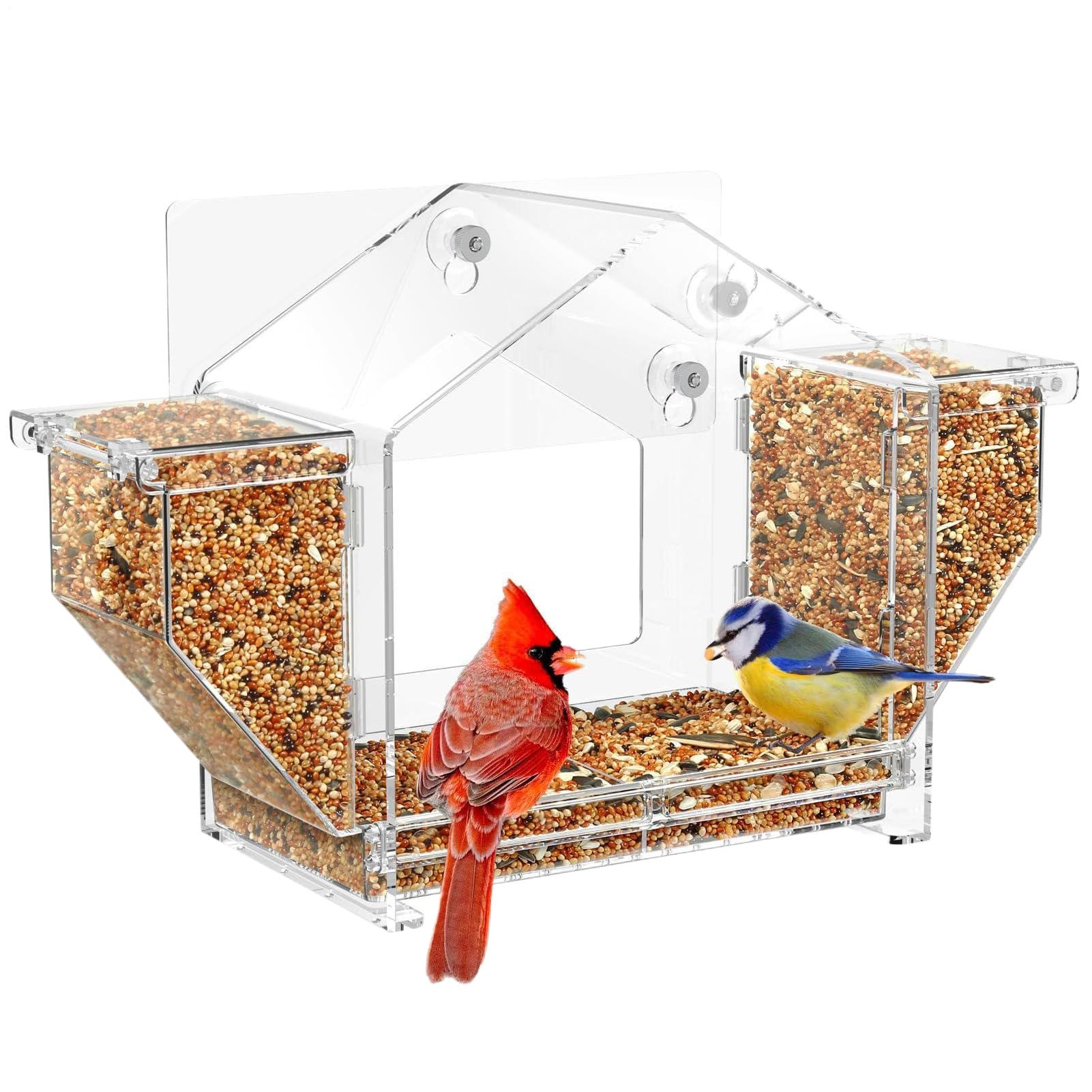 Mangeoires à oiseaux d'extérieur anti-chute pour nourrir moineau et conures