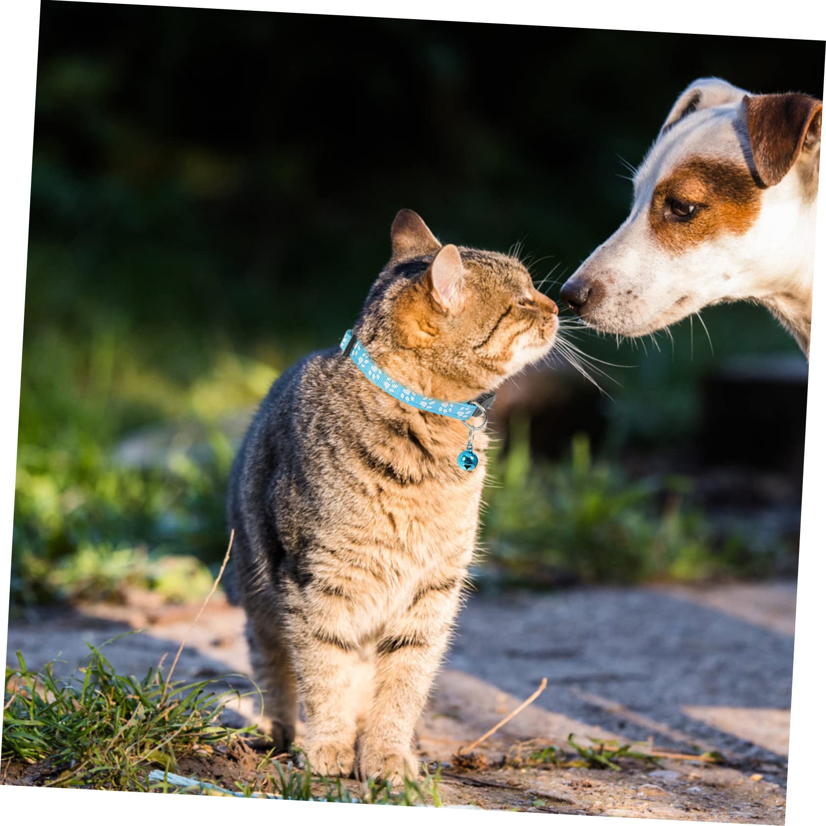 POPETPOP 25stücke Verstellbare Katzenhalsbänder Mit Glöckchen Bunten Farben Komfortables Und Dekoratives Für Kätzchen Und