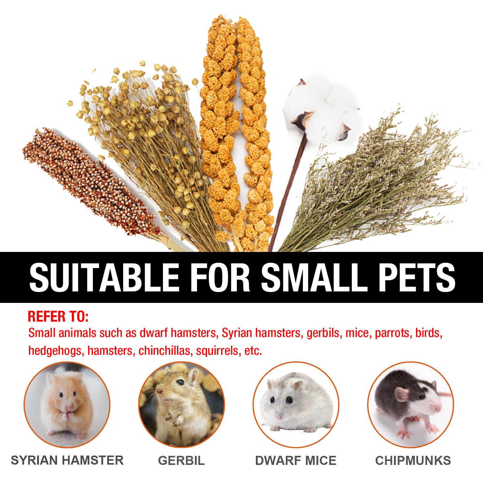 Dried Flower Bedding Natural Safe Habitat Decor Dried Flower Hamster ...