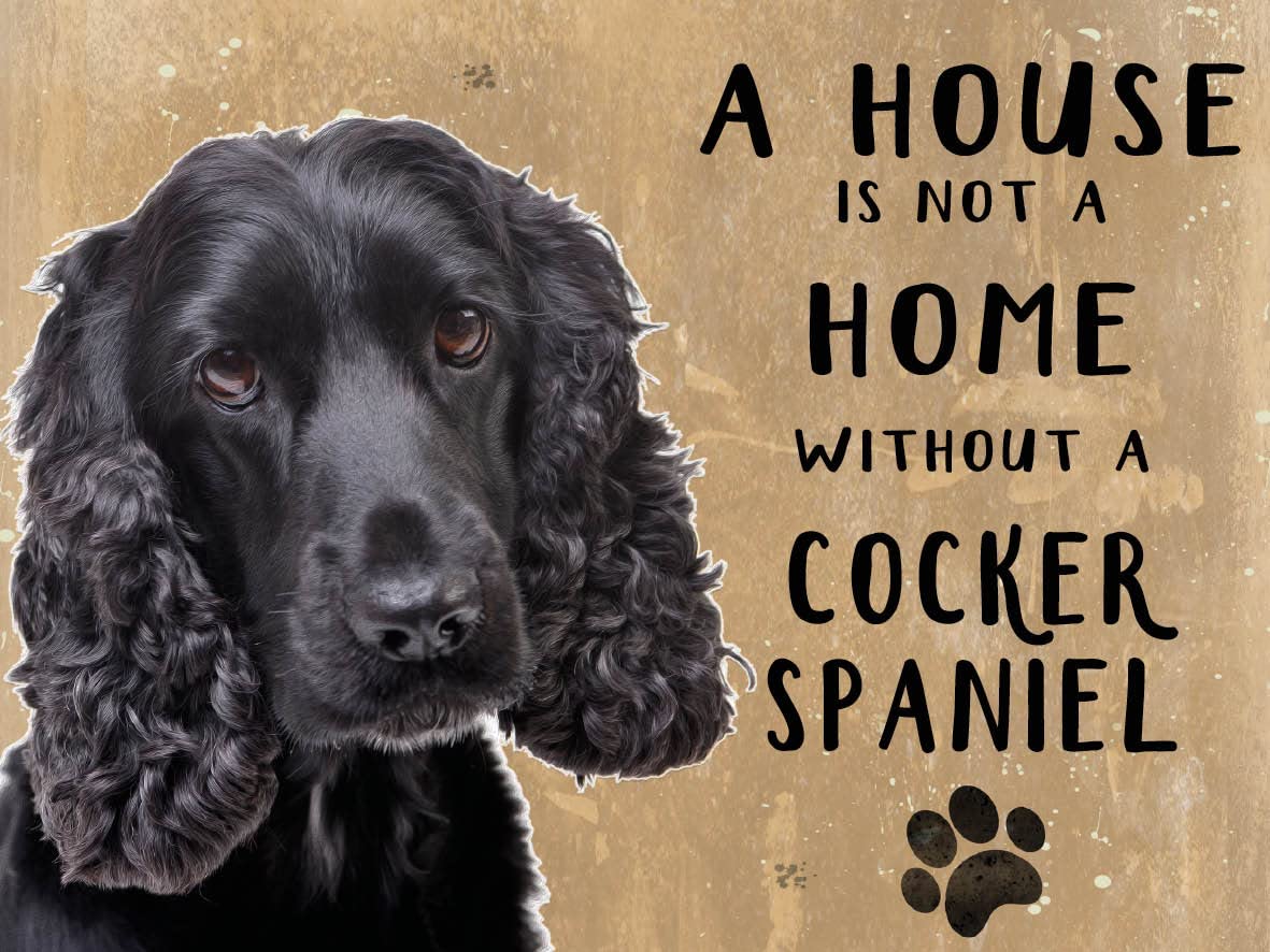 The Original Metal Sign Company Black Small (150 X 200Mm) Metal Sign - A House Is Not A Home - Cocker Spaniel,