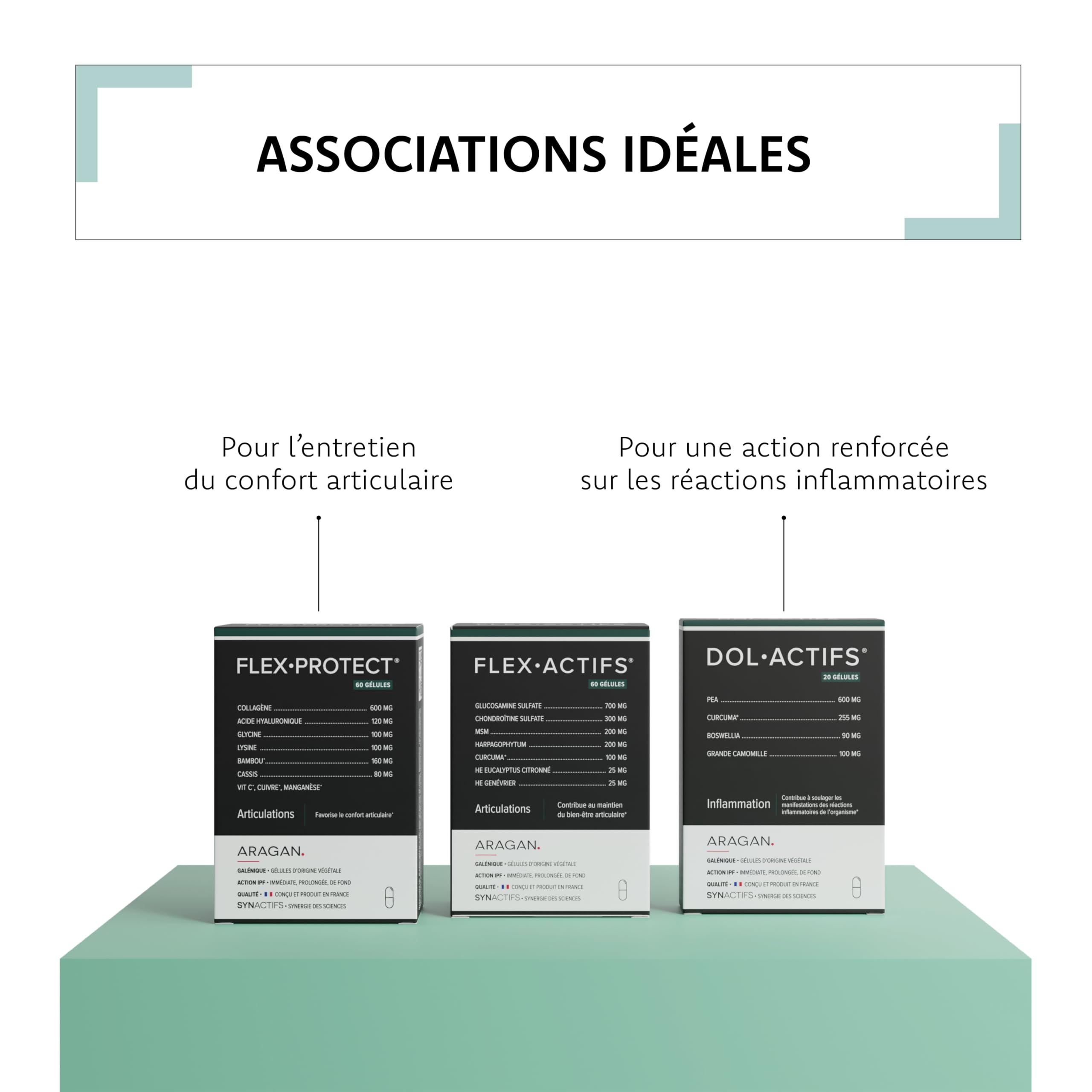 ARAGAN | Synactifs Lot de 2 Flexactifs | Complément Alimentaire Bien-Etre Articulaire | Glucosamine, Harpagophytum, Curcuma, Eucalyptus et Zinc | 120 gélules | 2 mois prise | Fabriqué en France