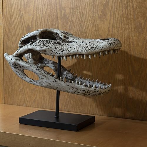 Miniatura 6 de Pacific Giftware Réplica Animales Cocodrilo Esqueleto Cráneo Fossli Figura De Resina