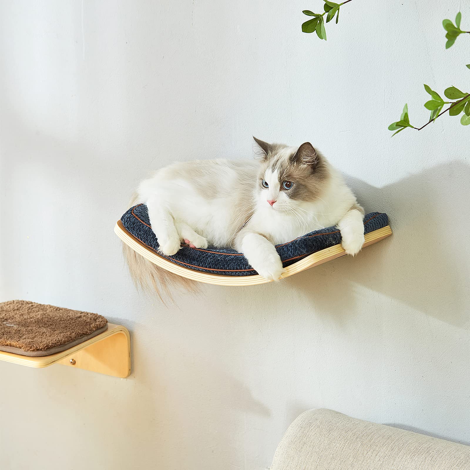 LIORCE Cat Shelf with Comfortable Cat Cushion - Curved Cat Shelves and Perches for Wall (Medium Size) - Wall Mounted Cat Furniture for Sleeping, Playing, Climbing, and Lounging