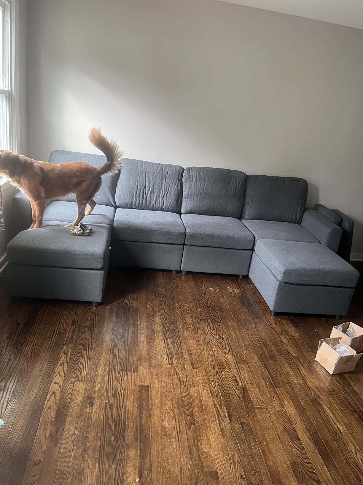 Can You Return A Sofa On Finance at James Bryant blog