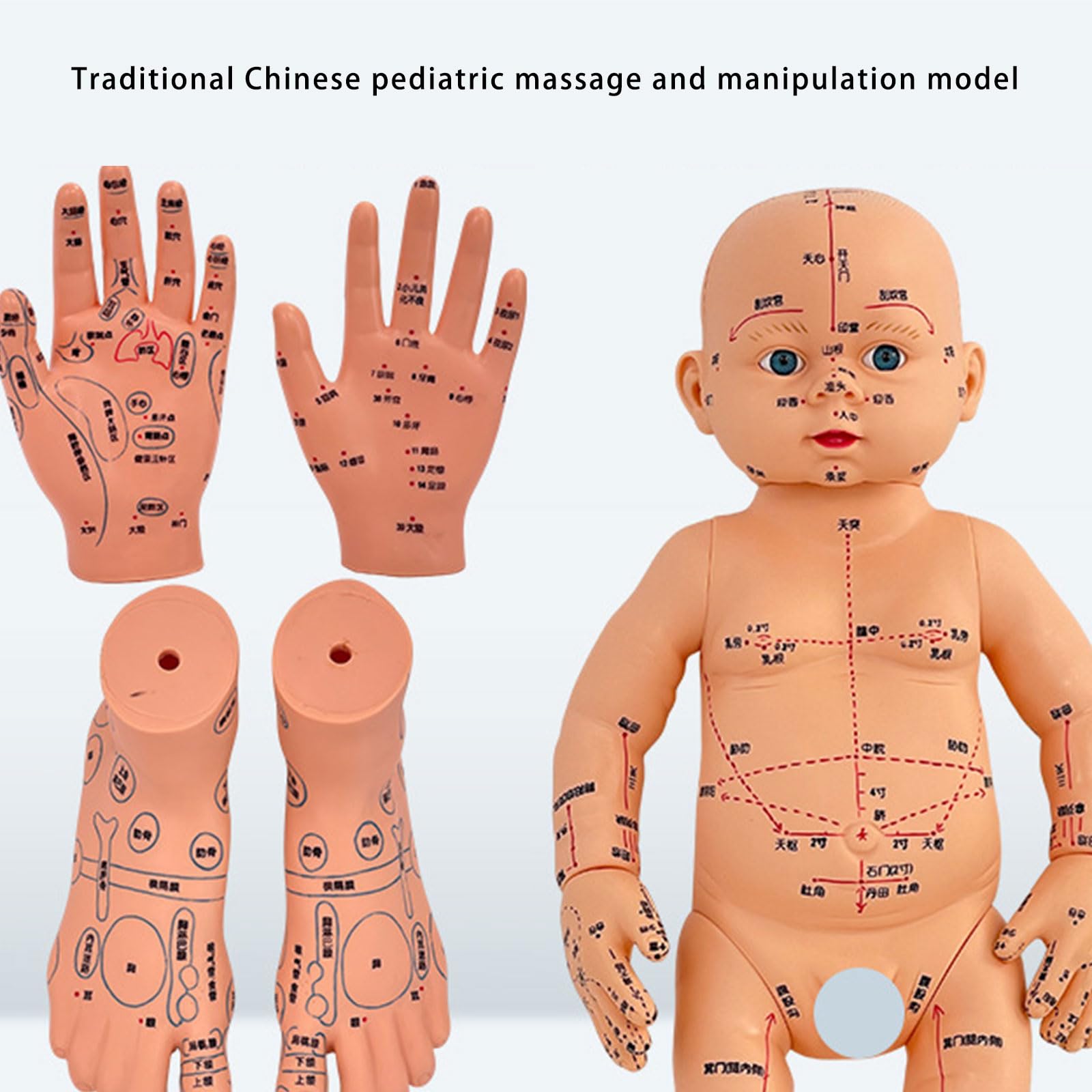 Modello di allenamento professionale per neonati con punti di agopuntura contrassegnati per la formazione nella cura dei neonati e la cura domestica, modello di massaggio pediatrico