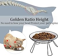 Vista 2 de Cuencos para gatos, cuenco elevado, plato de cerámica elevado con soporte de metal, estación de alimentación de agua o comida para mascotas